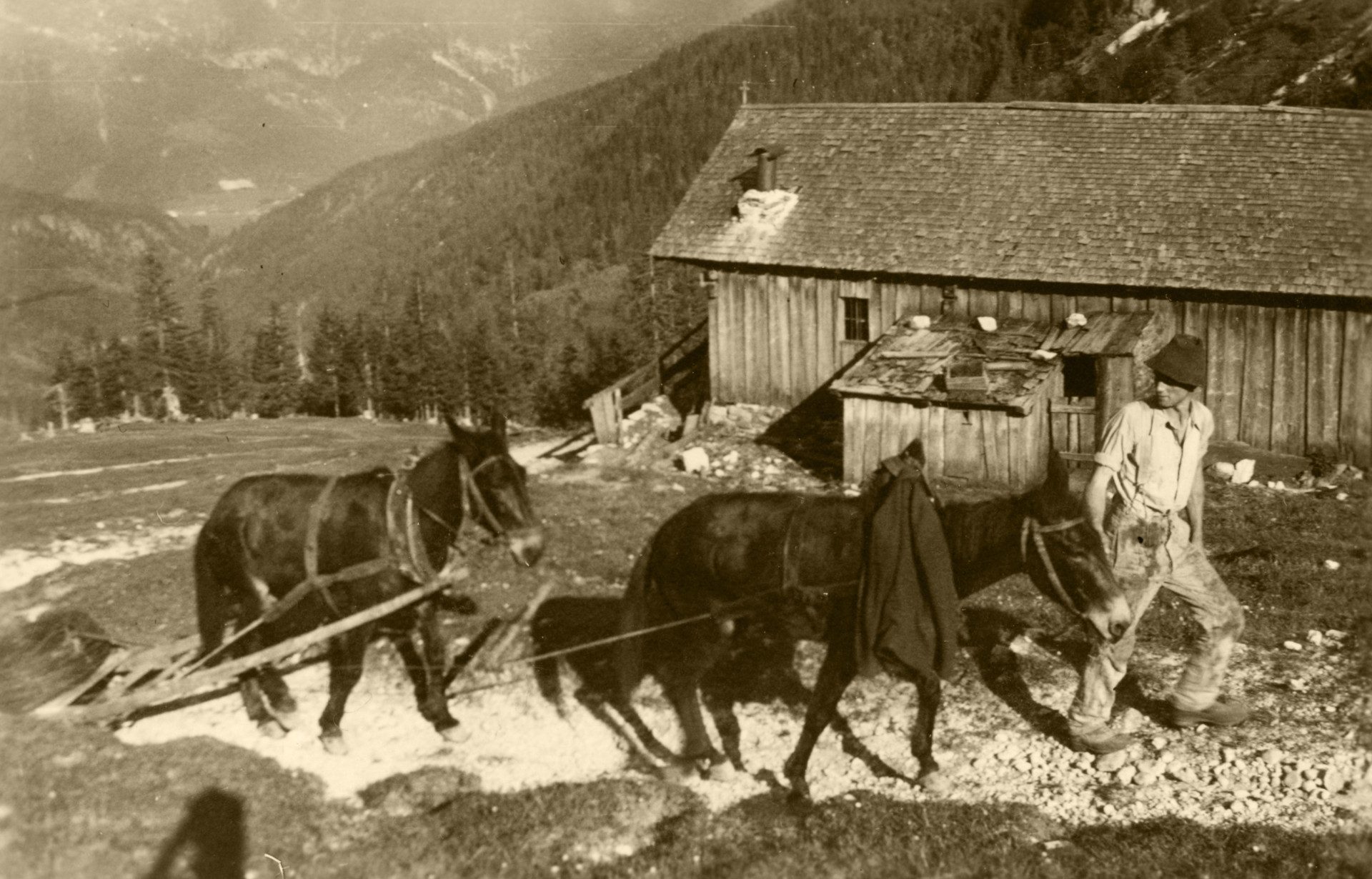 streichholz